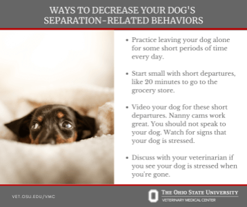 decrease separation-related behaviors_vmc