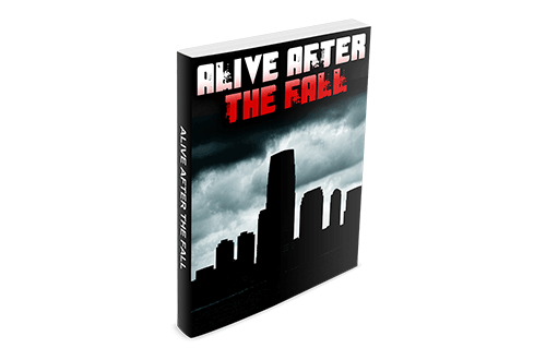 Alive After The Fall Review