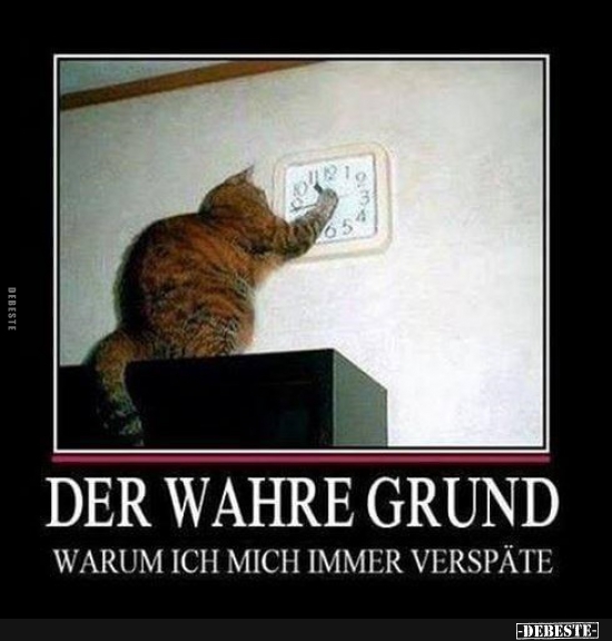 Der Wahre Grund Lustige Bilder Spruche Witze Echt Lustig