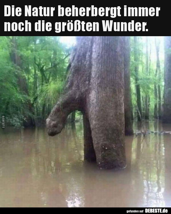 Die Natur Beherbergt Immer Noch Die Grossten Wunder Lustige Bilder Spruche Witze Echt Lustig