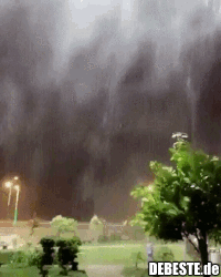 Wahrend Des Hurrikans In Oman Fiel An Einem Tag So Viel Regen Wie Sonst In 3 Jahren Lustige Bilder Spruche Witze Echt Lustig