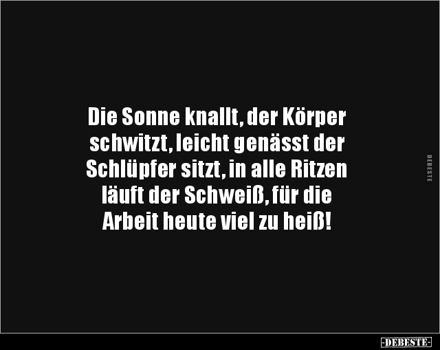 Die Sonne Knallt, Der Körper Schwitzt, Leicht.. | Lustige Bilder, Sprüche, Witze, Echt Lustig 509_x_640_jpg