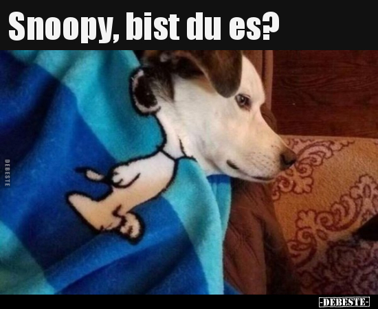Snoopy Bist Du Es Lustige Bilder Spruche Witze Echt Lustig