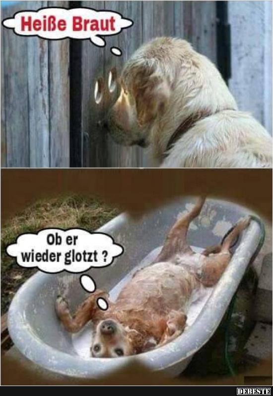 Heiße Braut.. | Lustige Bilder, Sprüche, Witze, Echt Lustig 796_x_550_jpg