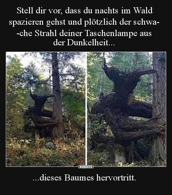 Stell Dir Vor, Dass Du Nachts Im Wald Spazieren Gehst Und.. | Lustige Bilder, Sprüche, Witze, Echt Lustig 671_x_592_jpg