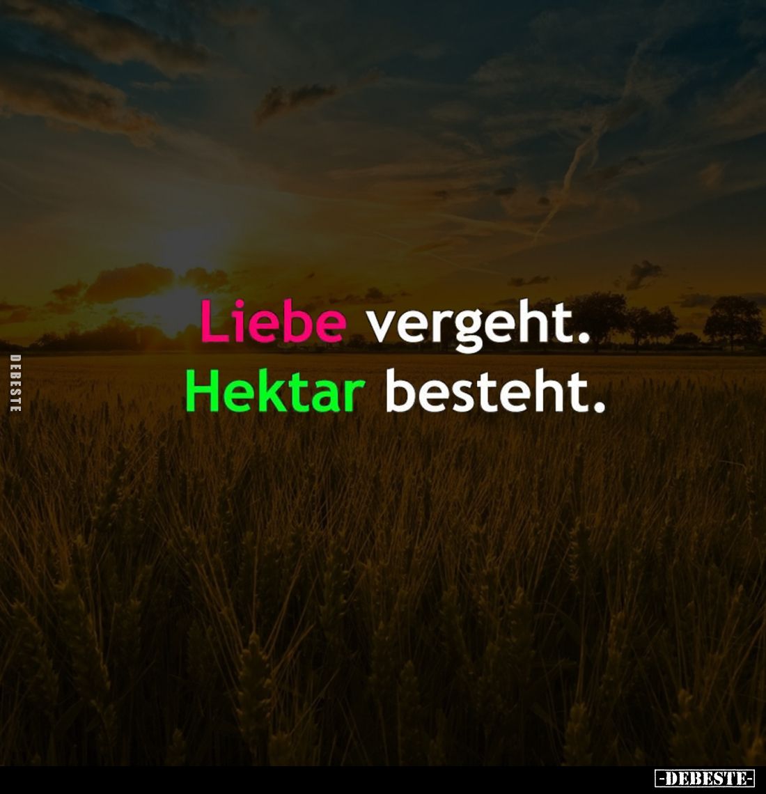 Liebe vergeht. hektar besteht.