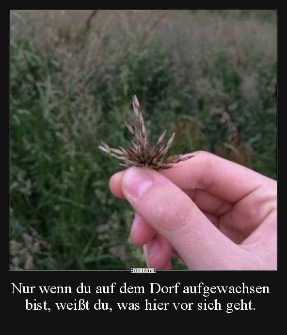 Nur wenn du auf dem dorf aufgewachsen bist..