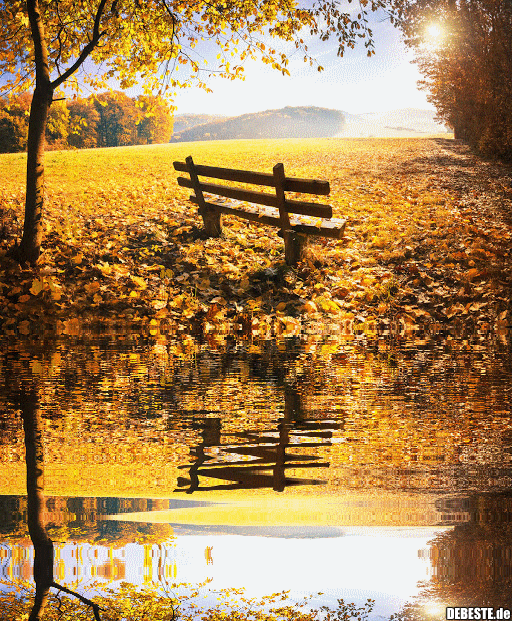 Alle animierten herbst grafiken und cliparts sind komplett kostenlos und können . Herbstliche Idylle Lustige Bilder Spruche Witze Echt Lustig