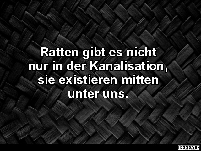 Ratten Gibt Es Nicht Nur In Der Kanalisation.. | Lustige Bilder, Sprüche, Witze, Echt Lustig 480_x_640_jpg
