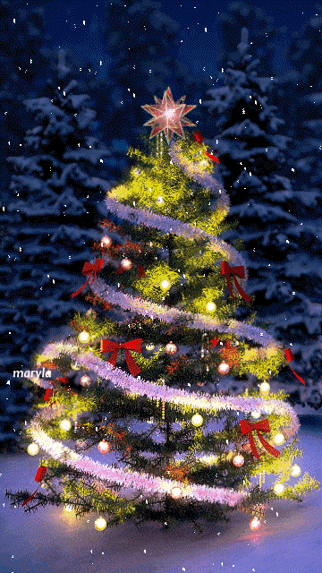 Witzig Weihnachten Vorbei Lustig