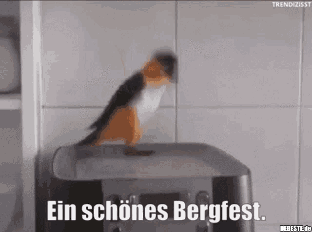 Ein Schönes Bergfest.. | Lustige Bilder, Sprüche, Witze, Echt Lustig 476_x_640_gif
