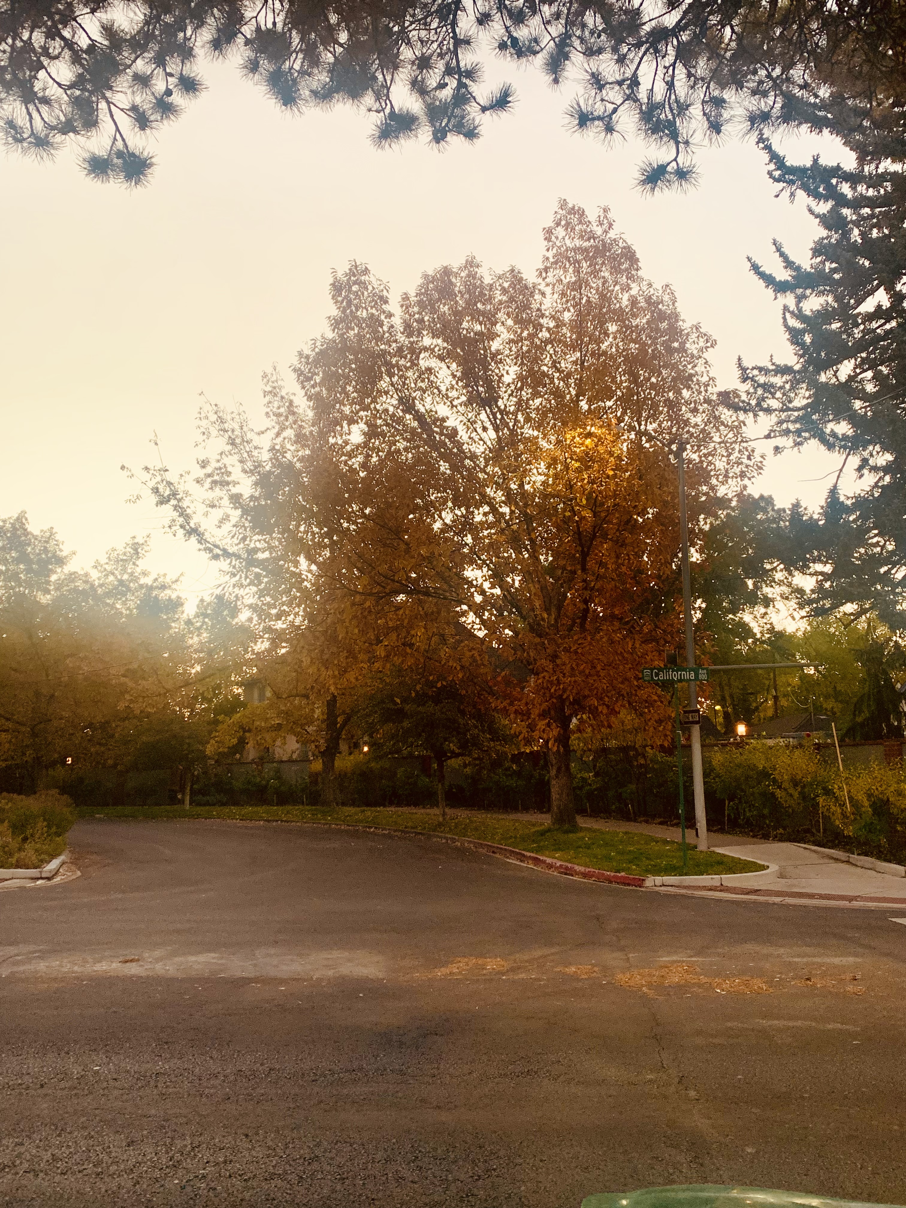 November Sunday