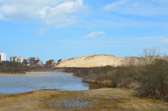 DSC_0049