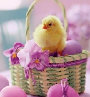 F993976E-4236-4277-A8BD-C634B9FAA00A