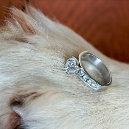 elizabethandjane-ca2