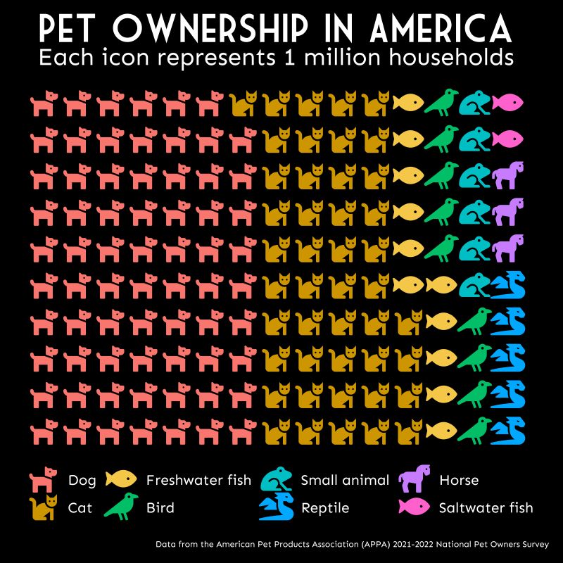 Why Code Lisa Debruine - Gradient Illustration Collection - Retina Quality