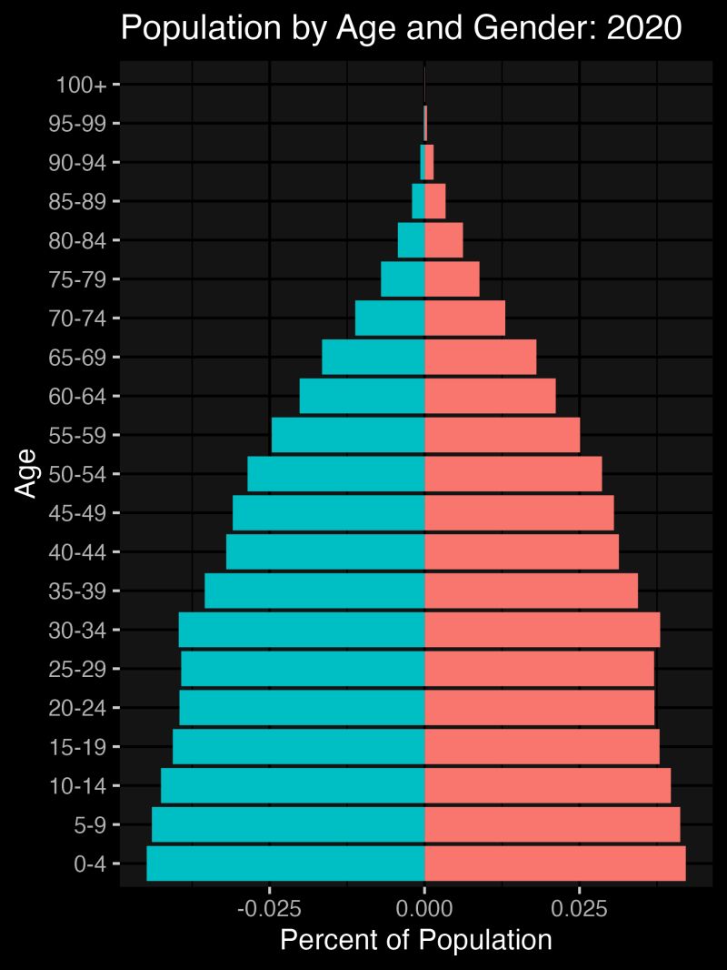 Github Demography101 Acs Animated Population Pyramid - Light Photo Collection - 8K Quality