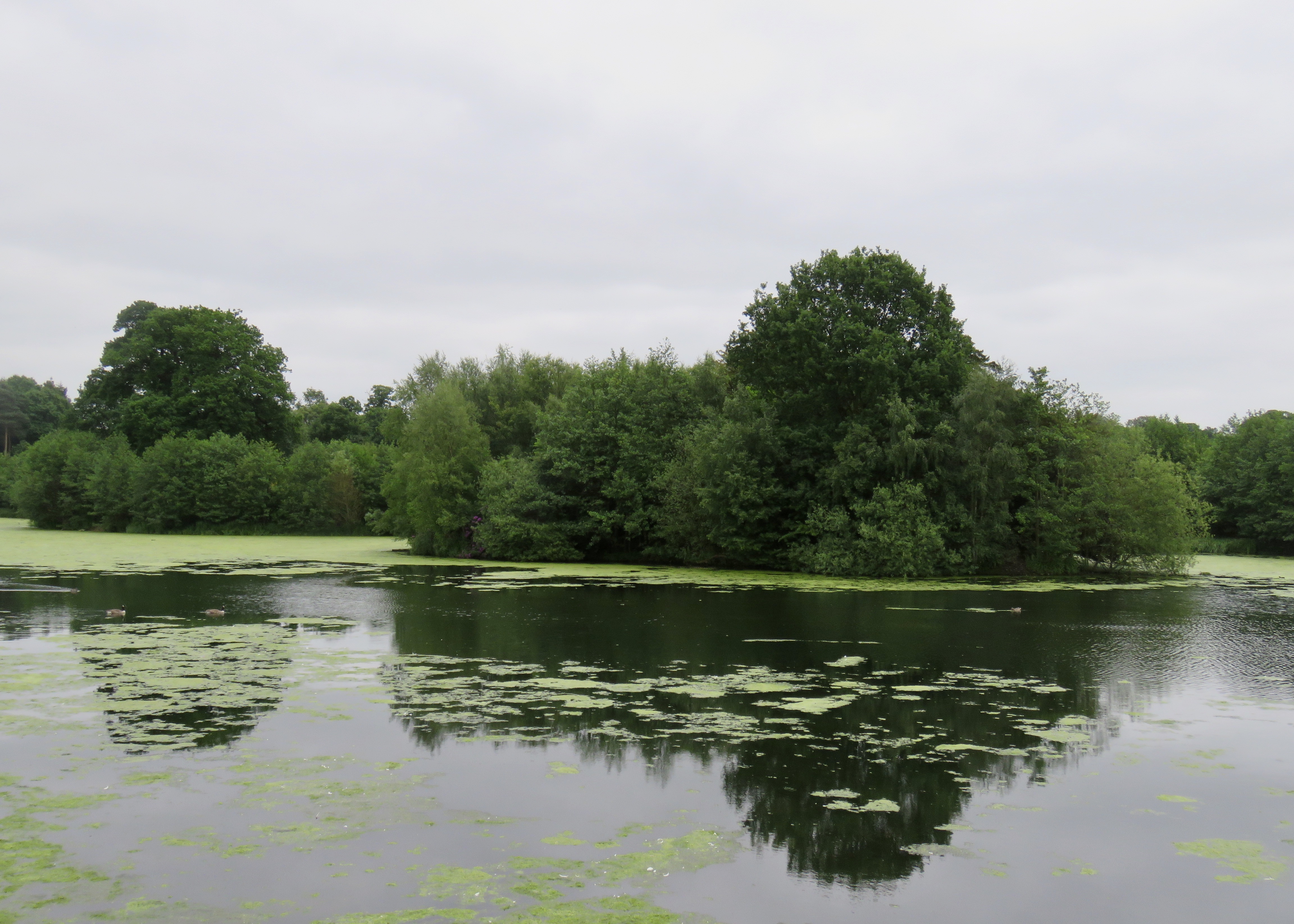 fullsizeoutput_65cb7