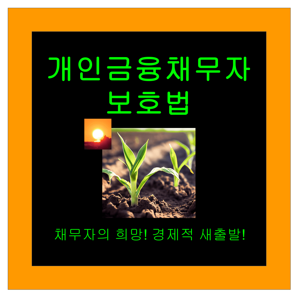개인금융채무자 보호법