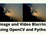 Image And Video Blurring Using Opencv And Python