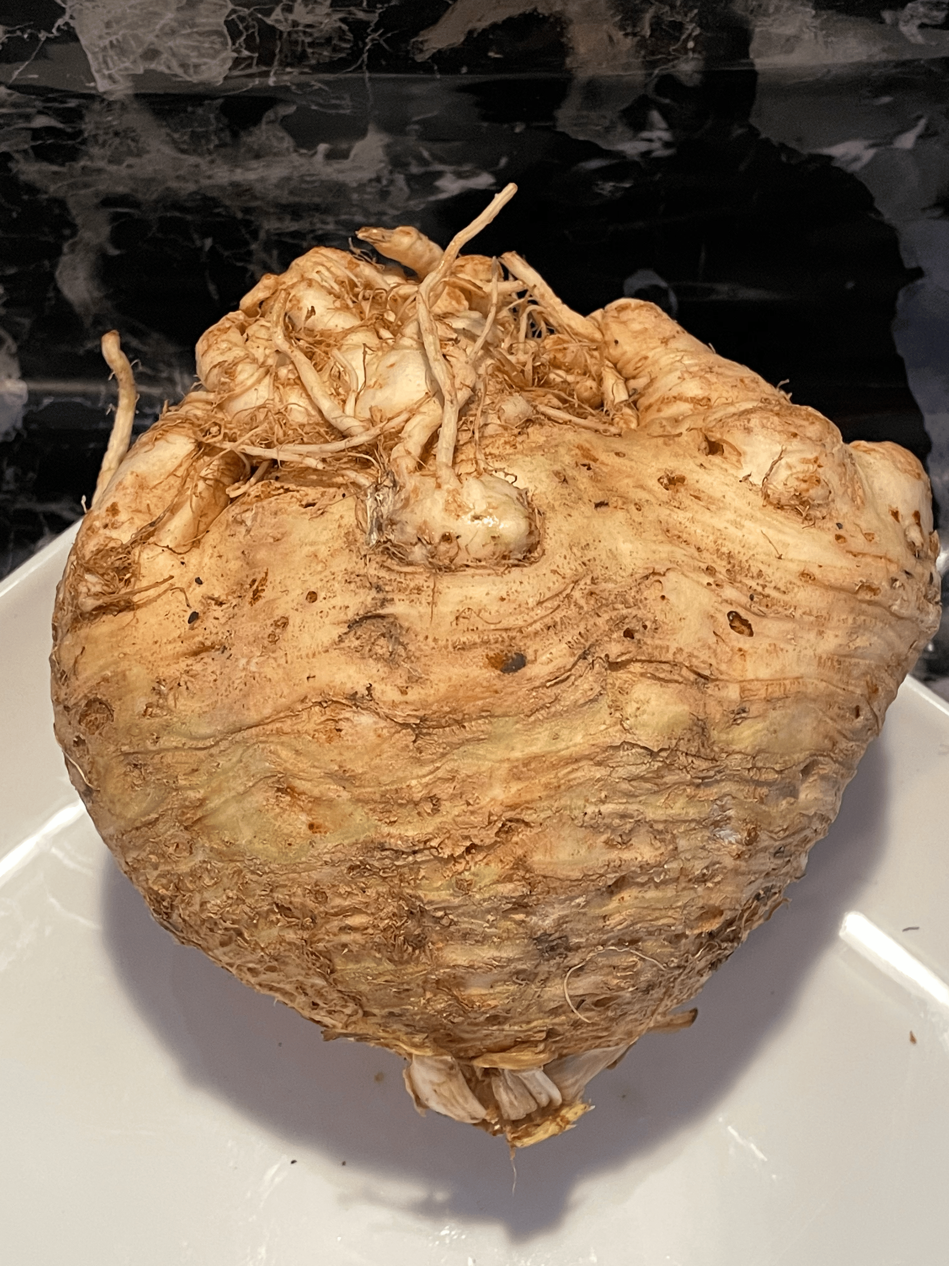 Celery Root