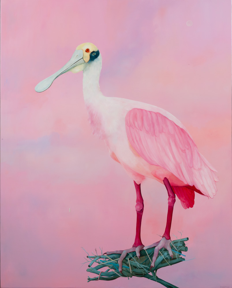 Thomas Frontini, Spoonbill 2, 2015, Oil on Canvas, 45” x 36”, $5,000