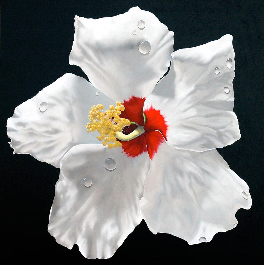 Hibiscus