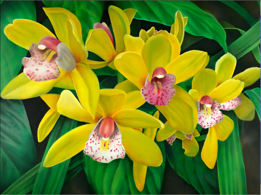 Lemon Orchids