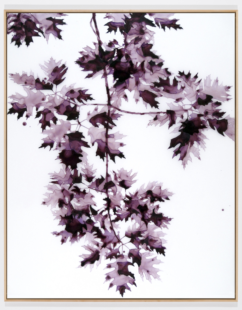 Twilit