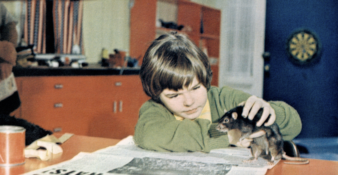 Ben 1972 Mubi - Premium Geometric Pattern Gallery - HD