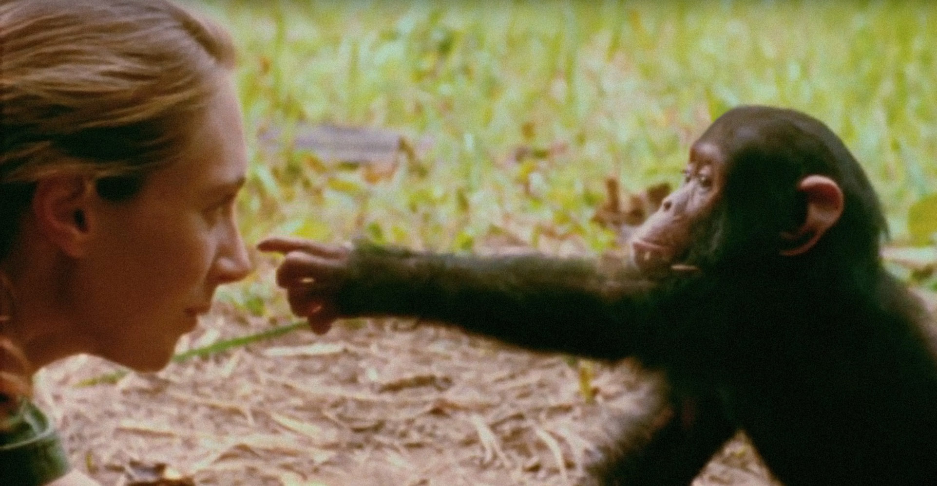 Jane 2017 Imdb - Amazing City Background - 4K