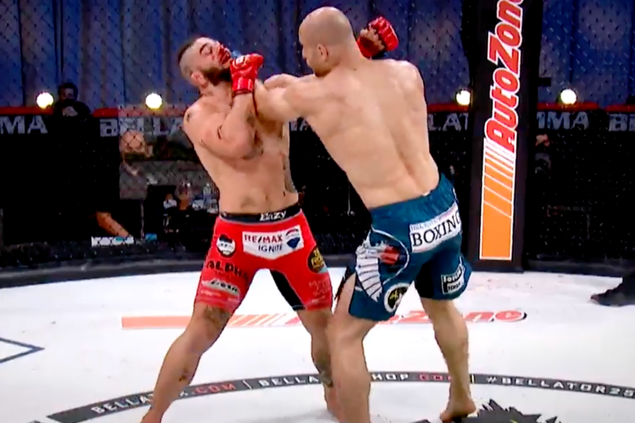 Bellator Mma Coub - Ultra HD Landscape Illustrations for Desktop