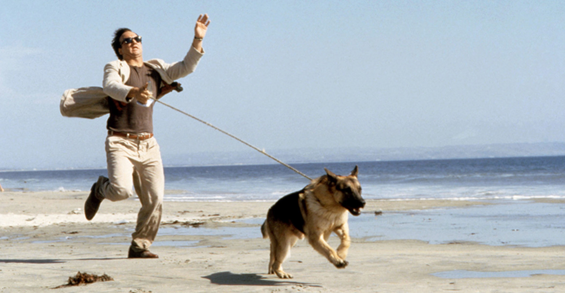 K 9 1989 - Mountain Photo Collection - High Resolution Quality