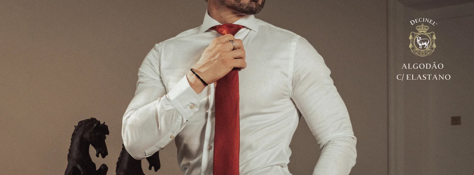 camisa ALGODÃO COM ELASTANO