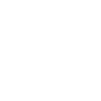 PROSPECTUS-ICON