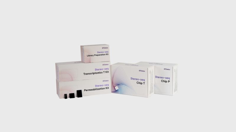 Stereo Seq Transcriptomics For Large Chip Designs Decode Science - Colorful Pictures - Professional HD Collection