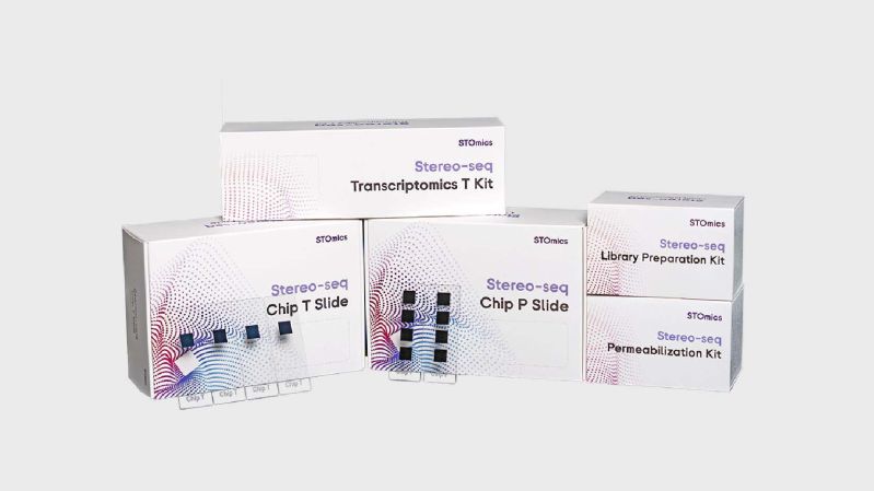 Stereo Seq Transcriptomics For Large Chip Designs Decode Science - Premium Nature Illustration Gallery - 4K