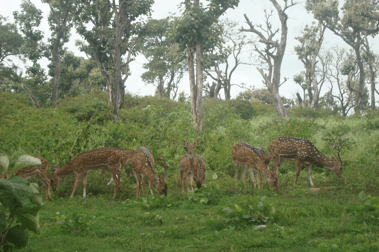 biological reserves