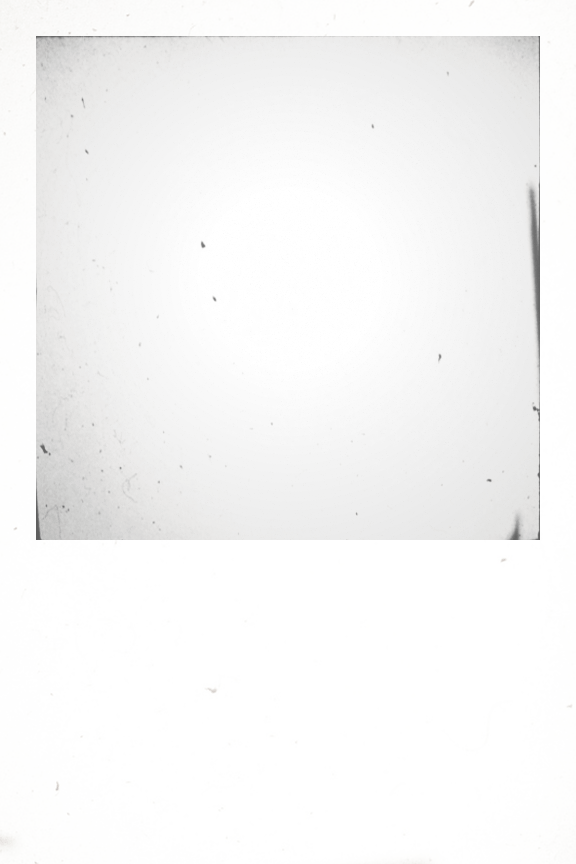 Print Any Photo As A Polaroid Free Template Decorator S Notebook Blog