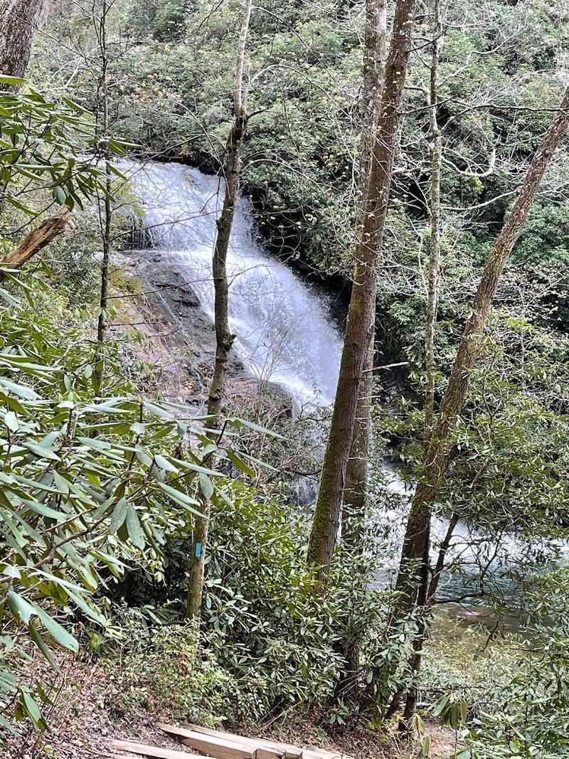 10 Quiet Hiking Trails In North Carolina Tourists Rarely Discover Big Lost Cove Cliffs Trail Near Jonas Ridge 