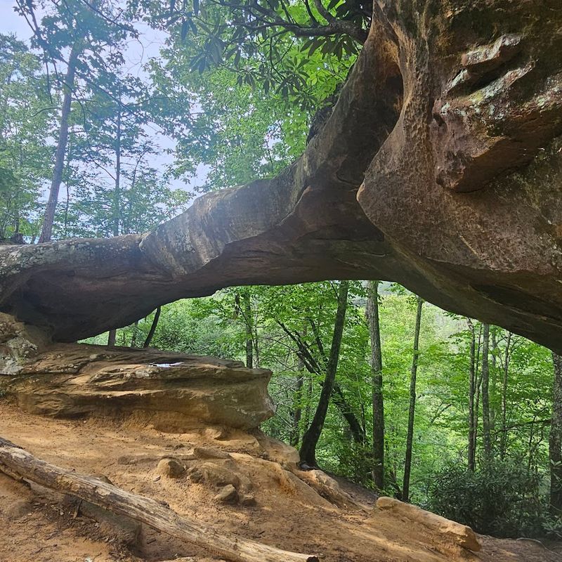 14 Quiet Hiking Trails Throughout Kentucky Tourists Rarely Discover Auxier Ridge Trail 