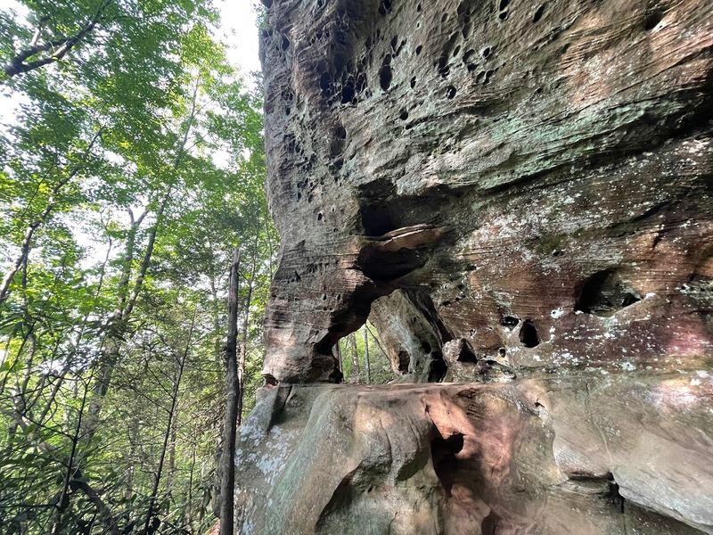 14 Quiet Hiking Trails Throughout Kentucky Tourists Rarely Discover Creation Falls 1 