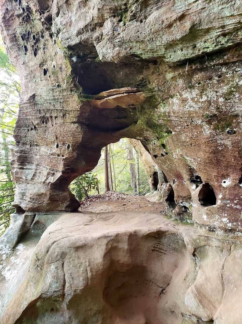 14 Quiet Hiking Trails Throughout Kentucky Tourists Rarely Discover Hidden Arch Trailhead 