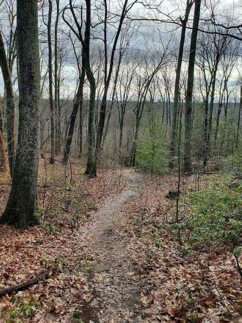 8 Quiet Hiking Trails In Connecticut That Tourists Haven T Discovered Yet The Ledges Brookfield 