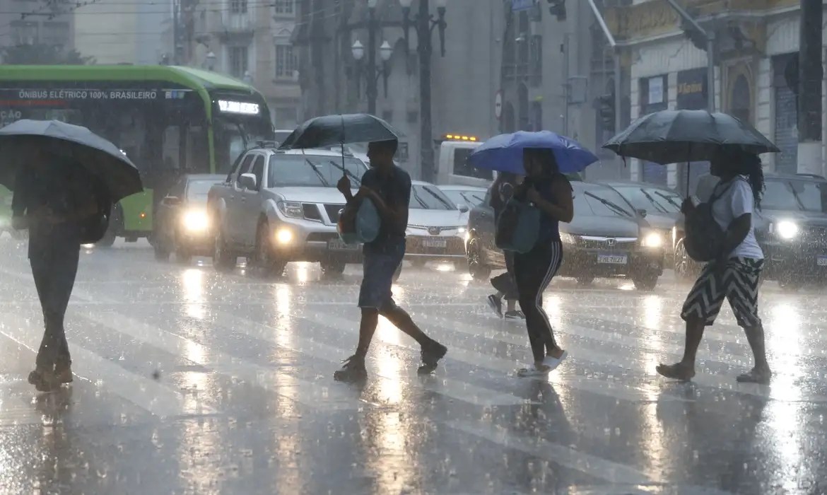 Chuva derruba 28 árvores em SP; 31 mil estão sem luz
