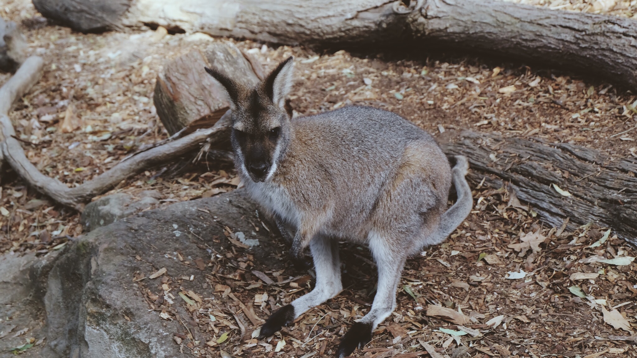 Processed with VSCO with m3 preset