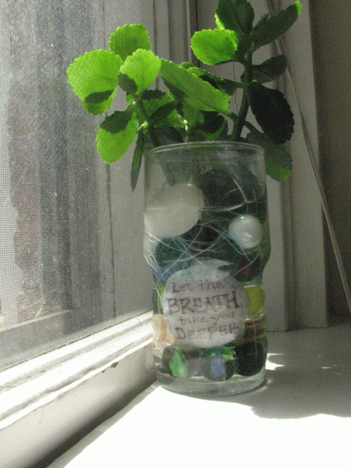taking-root
