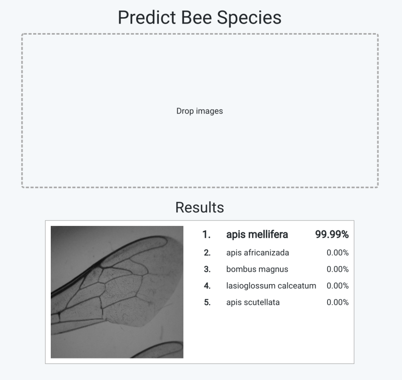 Github Deepabis Deepabis Deep Automated Bee Identification System - Amazing 4K Landscape Arts | Free Download