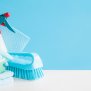 Difference Between Deep Cleaning Vs Regular Cleaning | DeepCleaning