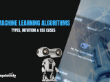 Machine Learning Algorithms Types Intuition Use Cases